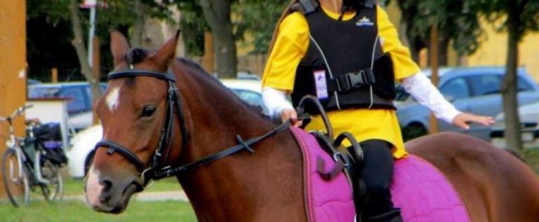 La Pony Club se organizează cursuri de instructori avizate de Federaţia Ecvestră