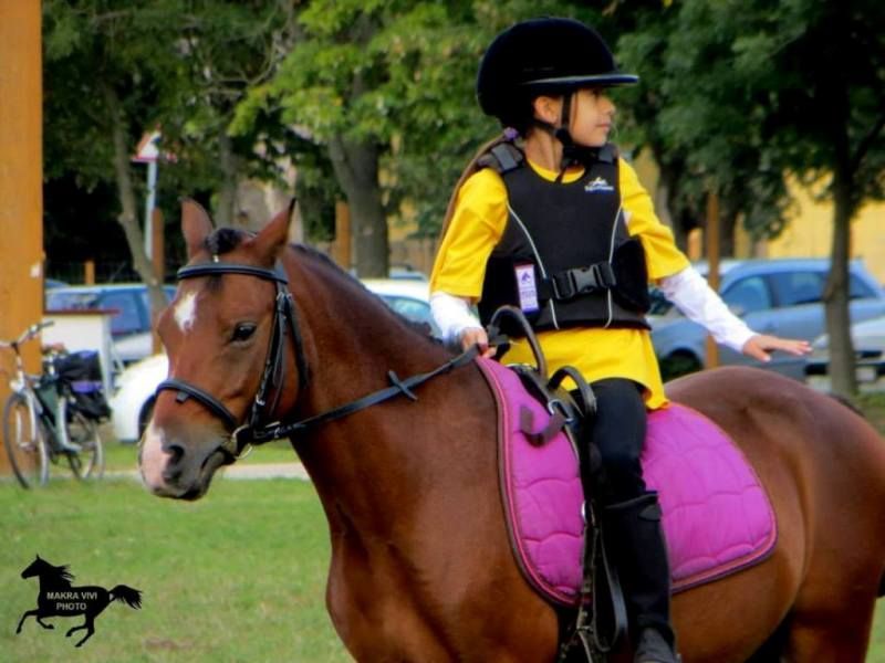  La Pony Club se organizează cursuri de instructori avizate de Federaţia Ecvestră