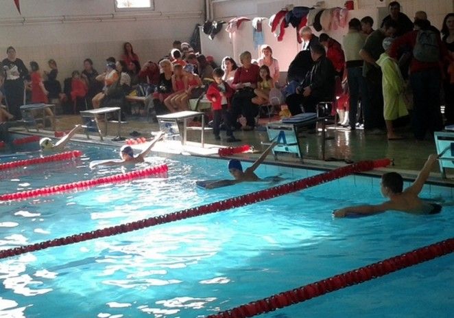 Micii înotători s-au remarcat la Timişoara