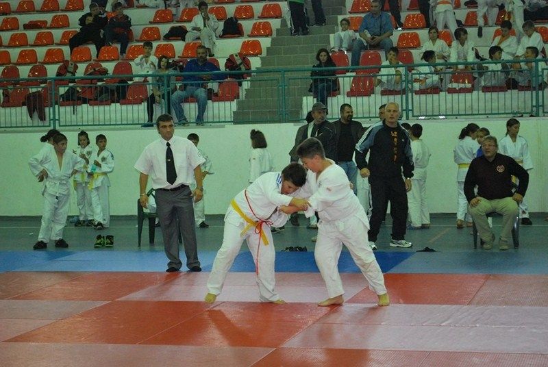  Micii judoka au urcat pe podium la Cupa Aradului