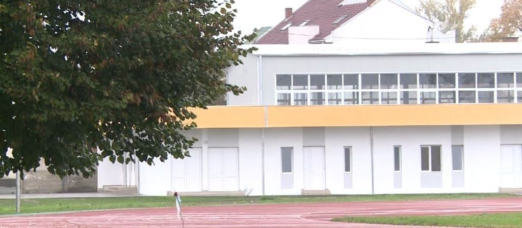 Aradul a fost gazda unui nou stagiu internațional de gimnastică