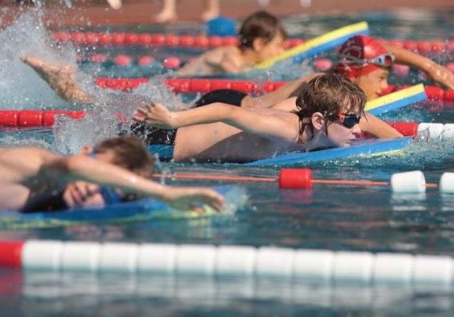 Micii înotători au urcat pe podiumul regional