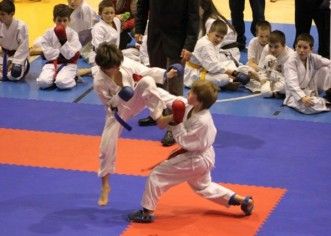 Premiile acordate la Gala Artelor Marţiale arădene