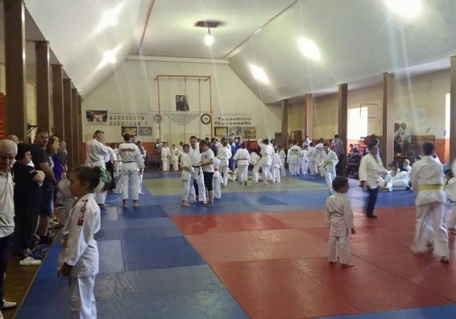 Sărbătoare pe tatami, cu ocazia Zilei Judoului Arădean