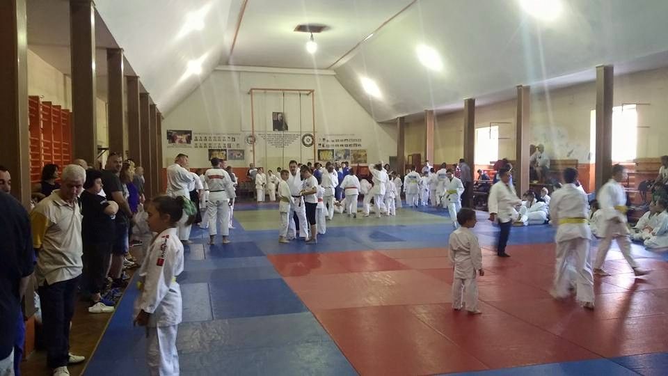  Sărbătoare pe tatami, cu ocazia Zilei Judoului Arădean