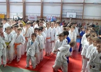 Micii judoka ai CSM-ului au cucerit medalii în Ungaria