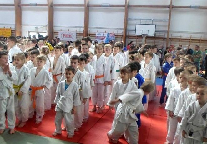 Micii judoka ai CSM-ului au cucerit medalii în Ungaria