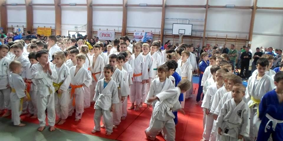  Micii judoka ai CSM-ului au cucerit medalii în Ungaria