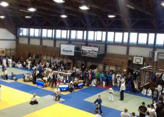 Micii judoka arădeni au cucerit medalii, în Ungaria