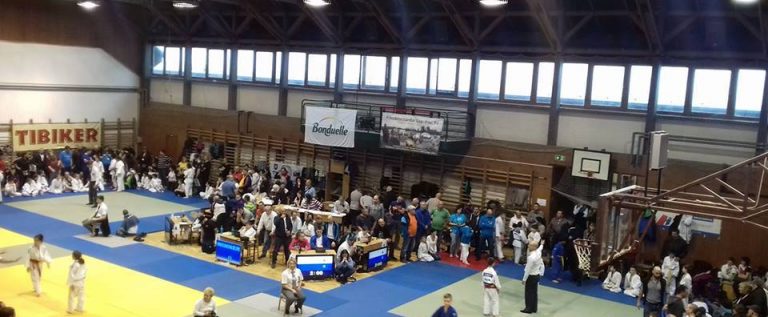 Micii judoka arădeni au cucerit medalii, în Ungaria