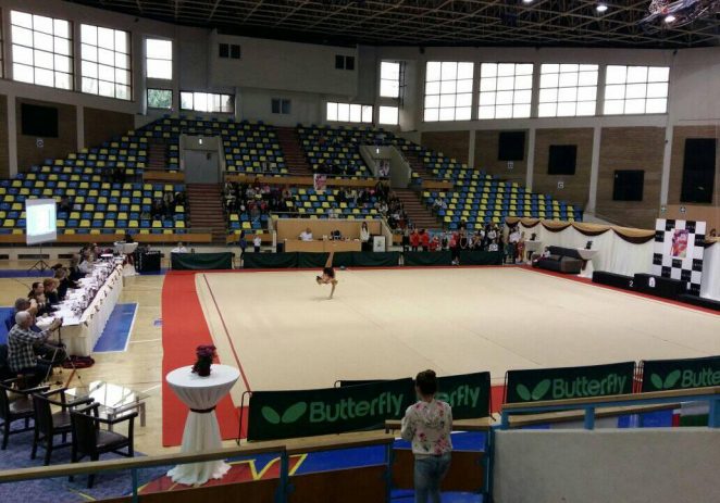 Gimnastele de la ritmică au fost în top la „Arad Trophy”