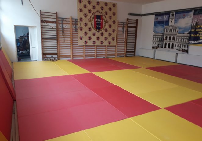 Pe tatami, după 15 iunie! “Am pregătit un plan gradual de repornire”