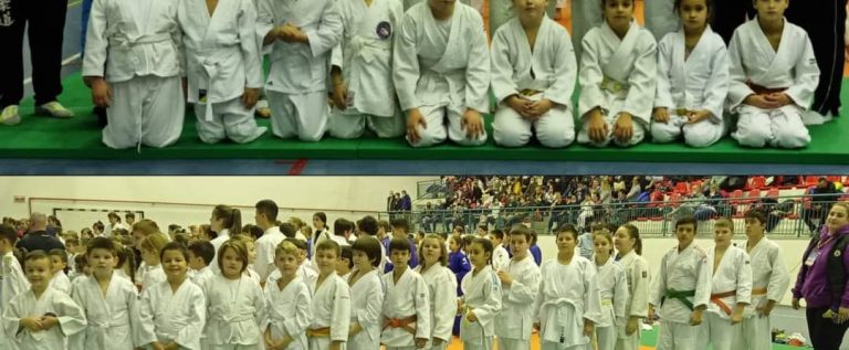 Judoka de la CSM Arad şi Panda Team, medaliaţi la Cupa Carolina, în aşteptarea lui Moş Crăciun