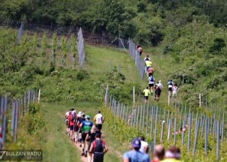 Crosul Cetăților a debutat la Șiria.Urmează Ineul și Moneasa