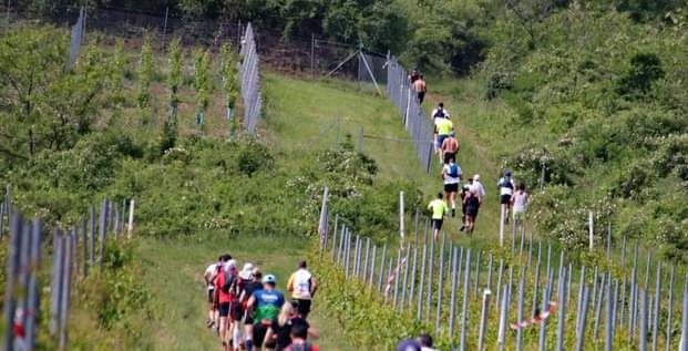 Crosul Cetăților a debutat la Șiria.Urmează Ineul și Moneasa