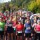 Sâmbătă se desfăşoară Crosul Cetăţii, cu 200 de alergători din ţară şi Ungaria la start