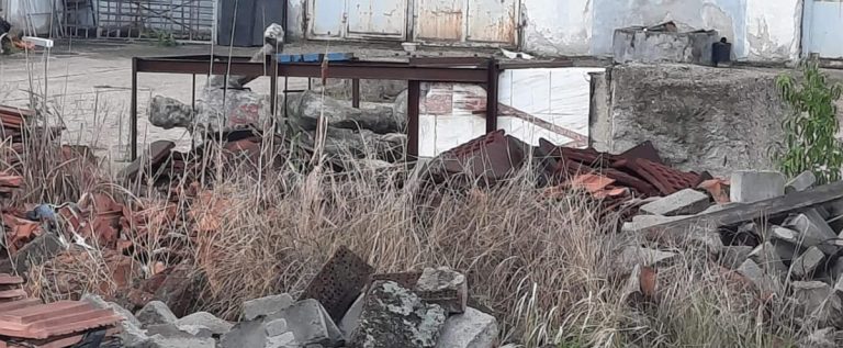 Istoria UTA-ei, la groapa de gunoi: statuia legendarului Iosif Petschovschi a ajuns printre bălăriile Primăriei!