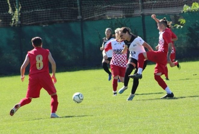 Luptă dură pentru salvare: „leoaicele” de la Piroș au pierdut acasă, cu moroșencele