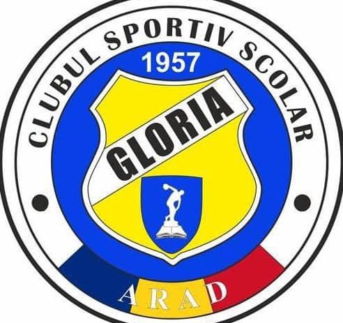 Sportivii Gloriei Arad au luat 89 de medalii în competițiile anului școlar 2024/2025